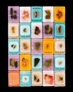 Aesthetics of Human Disease