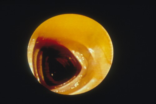 #9. MEDICAL TECHNOLOGY SERIES_inside the body